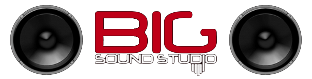 Logo BSS