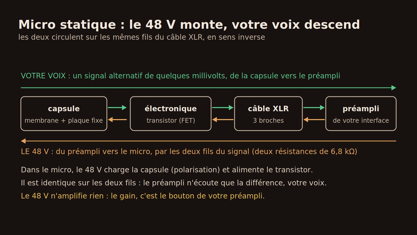 Schéma du trajet du signal : la voix va de la capsule au préampli et le 48 volts remonte du préampli vers le micro par le même câble XLR
