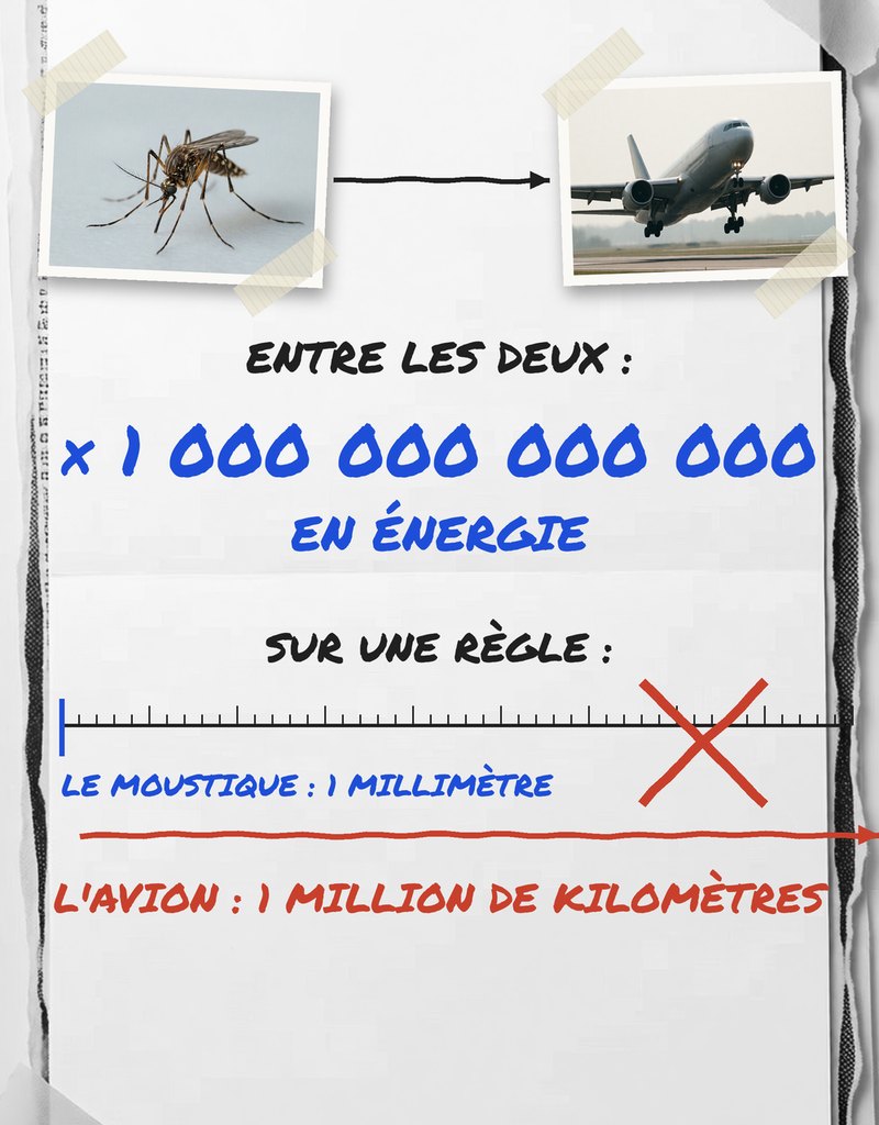 Un rapport d'un million de millions en énergie entre un moustique et un avion au décollage